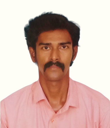 Mr. Gokulanesan S